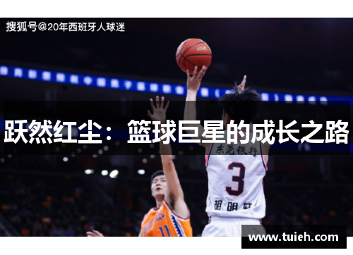 跃然红尘:篮球巨星的成长之路